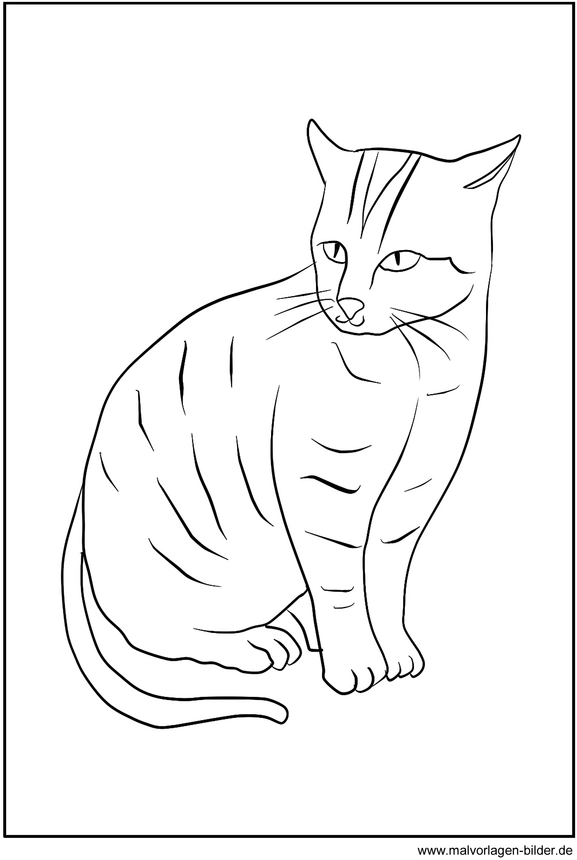 malvorlage-sitzende-katze-ausmalen