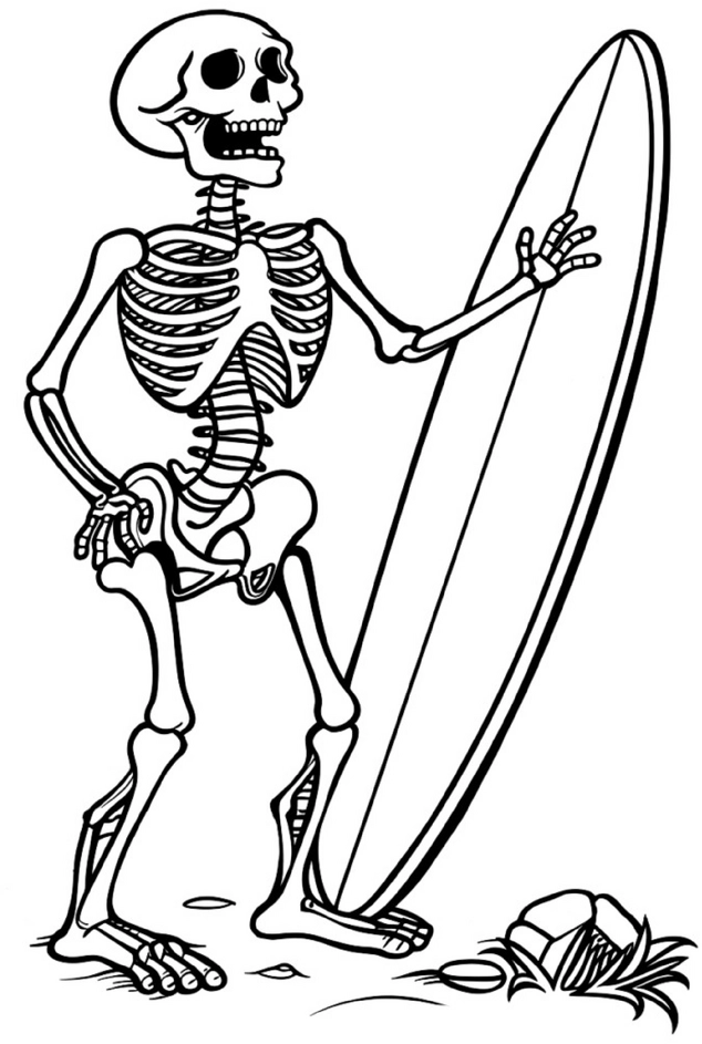malvorlage-skelett-mit-surfbrett-fuer-kreative-ausmalstunden