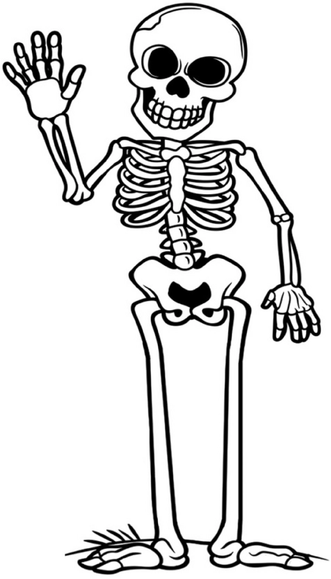malvorlage-skelett-zum-ausmalen-und-entdecken