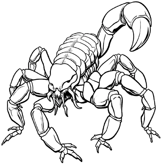 malvorlage-skorpion-ausmalbild-fuer-kreative-entdecker