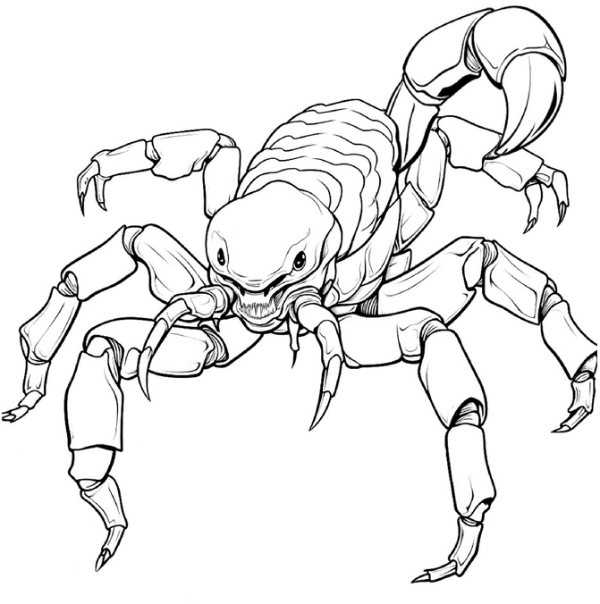 malvorlage-skorpion-ausmalen-fuer-kinder