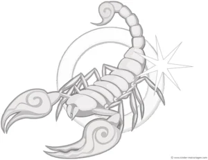 malvorlage-skorpion-fakten-ueber-das-tier