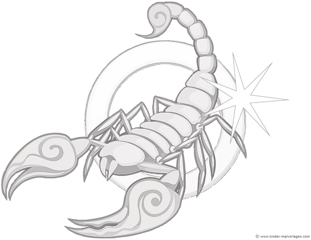 malvorlage-skorpion-fakten-ueber-das-tier