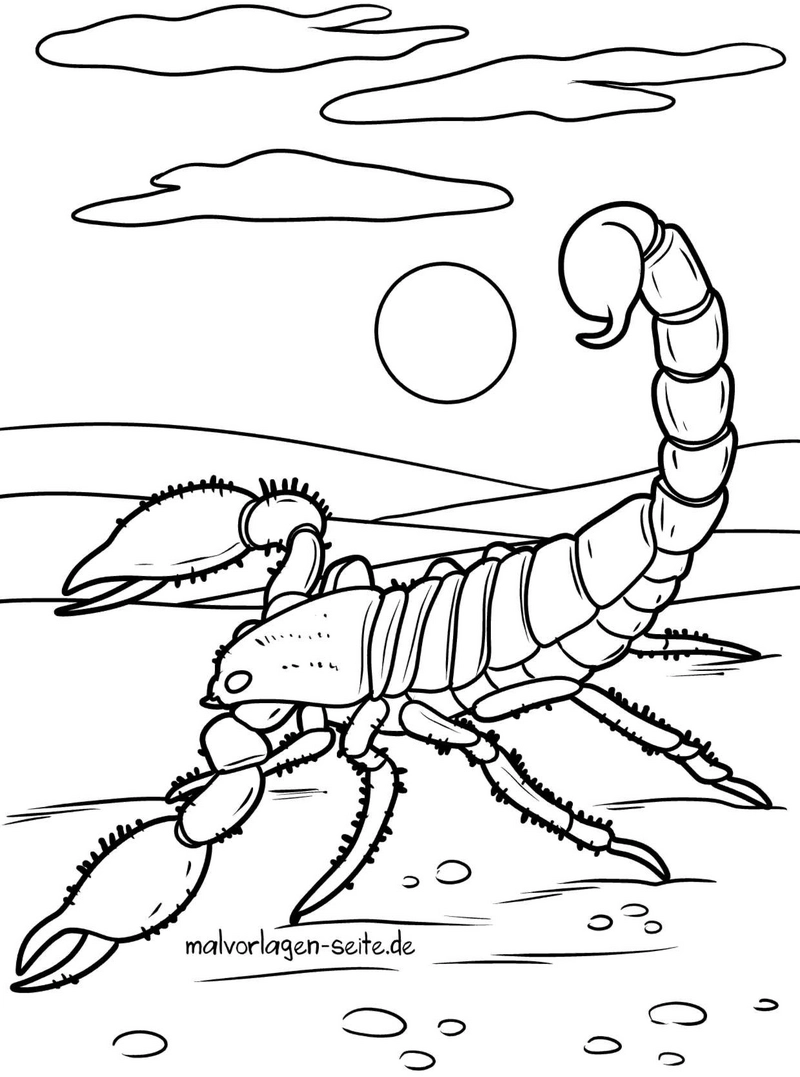 malvorlage-skorpion-in-der-wueste