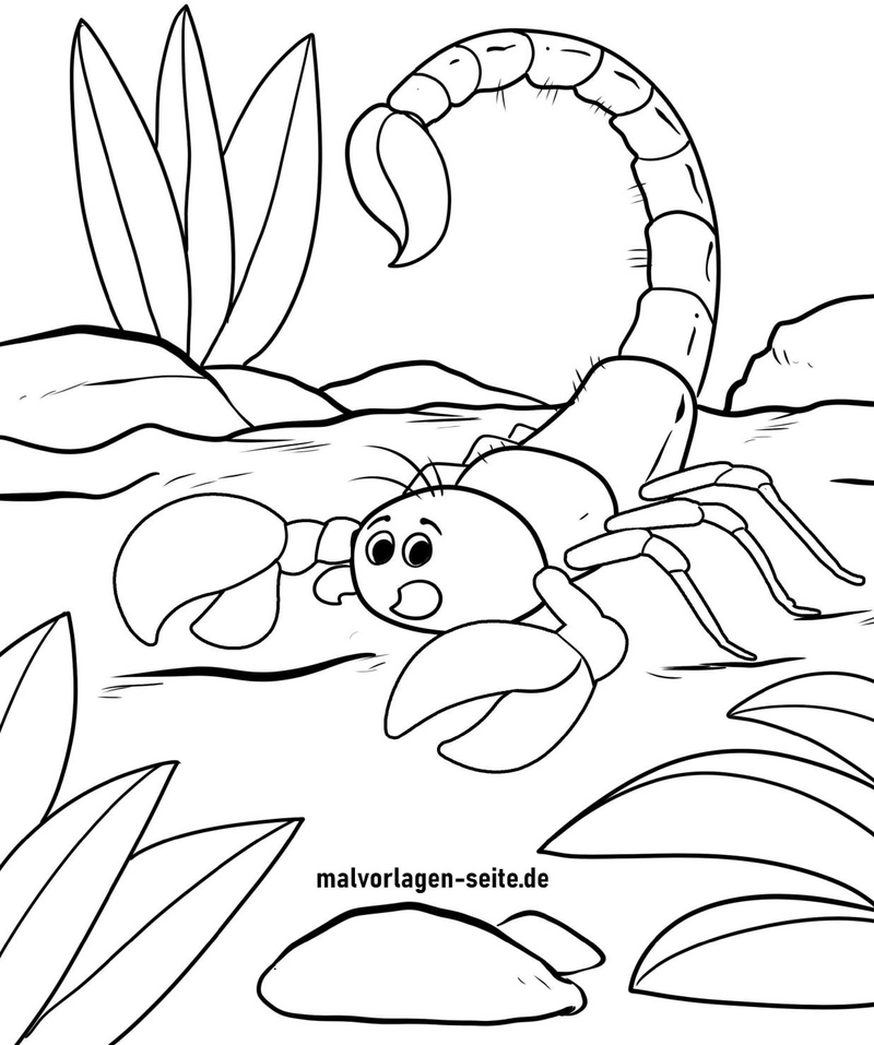 malvorlage-skorpion-in-einer-naturumgebung