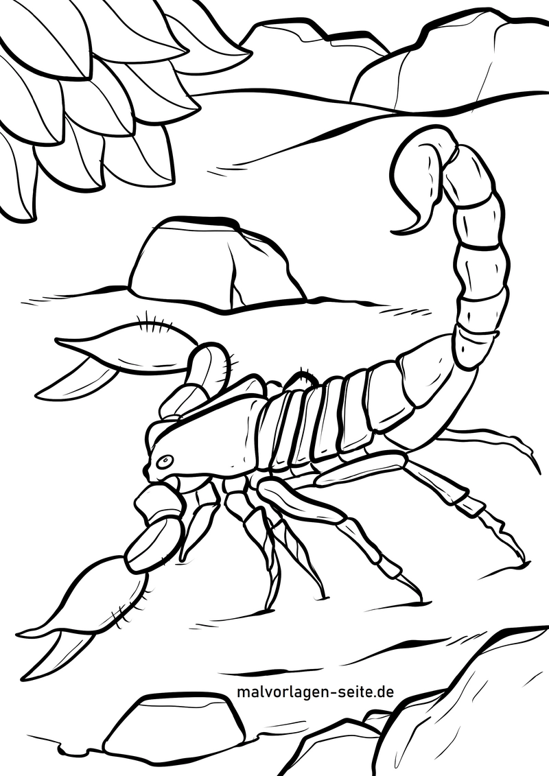 malvorlage-skorpion-in-natur-umgebung