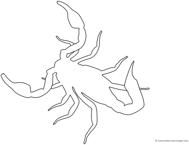 malvorlage-skorpion-zum-ausmalen