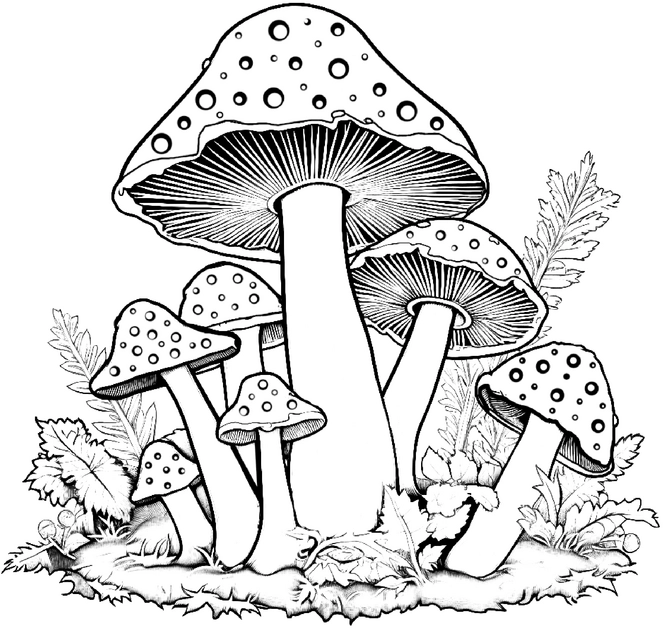 malvorlage-skurrile-pilze-zum-ausmalen