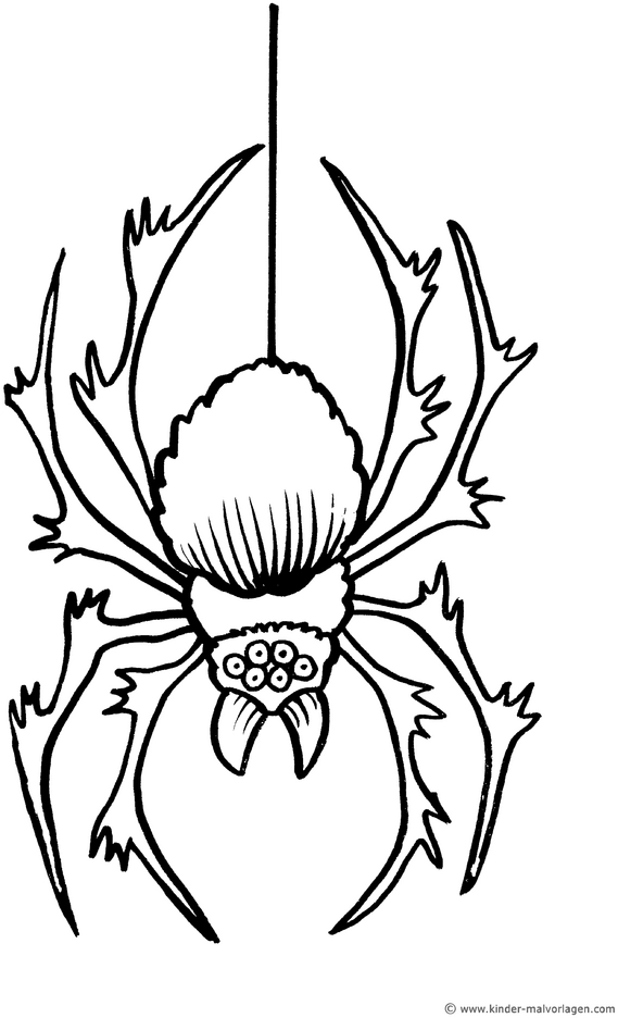malvorlage-spinne-haengt-an-einem-faden