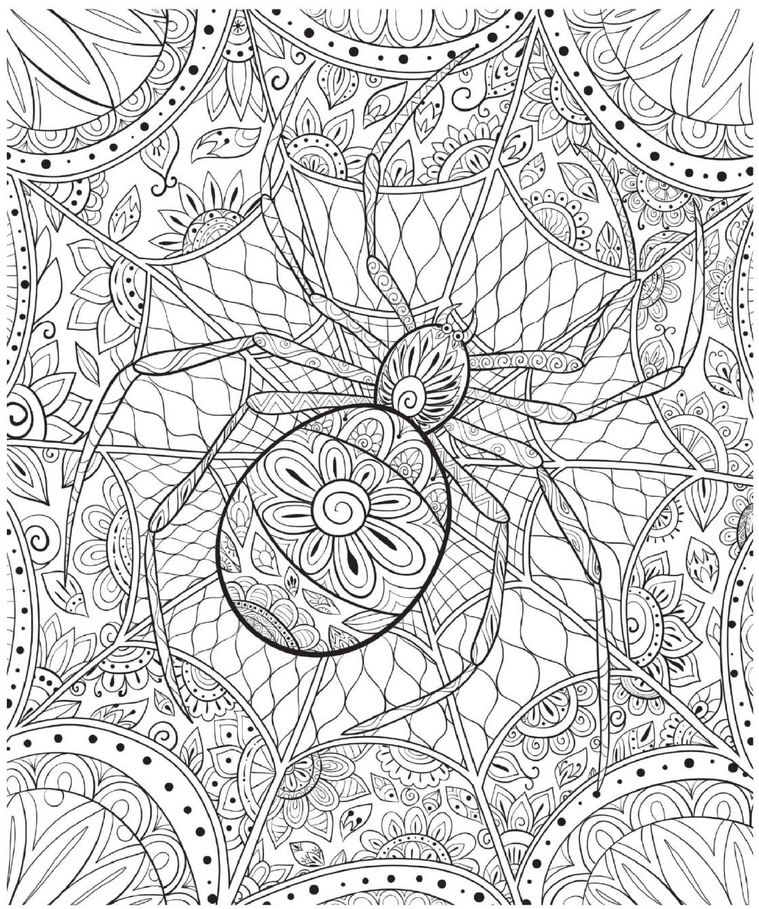 malvorlage-spinne-im-kunstvollen-netz