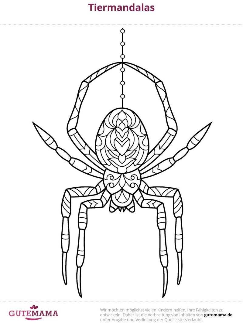 malvorlage-spinne-im-mandala-stil-ausmalen