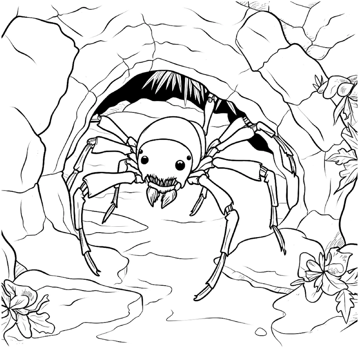 malvorlage-spinne-in-hoehle-mit-pflanzen-und-felsen