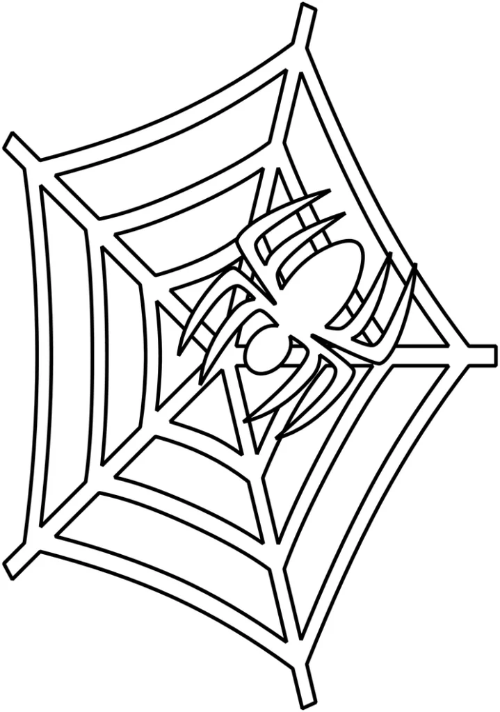 malvorlage-spinne-spinnennetz