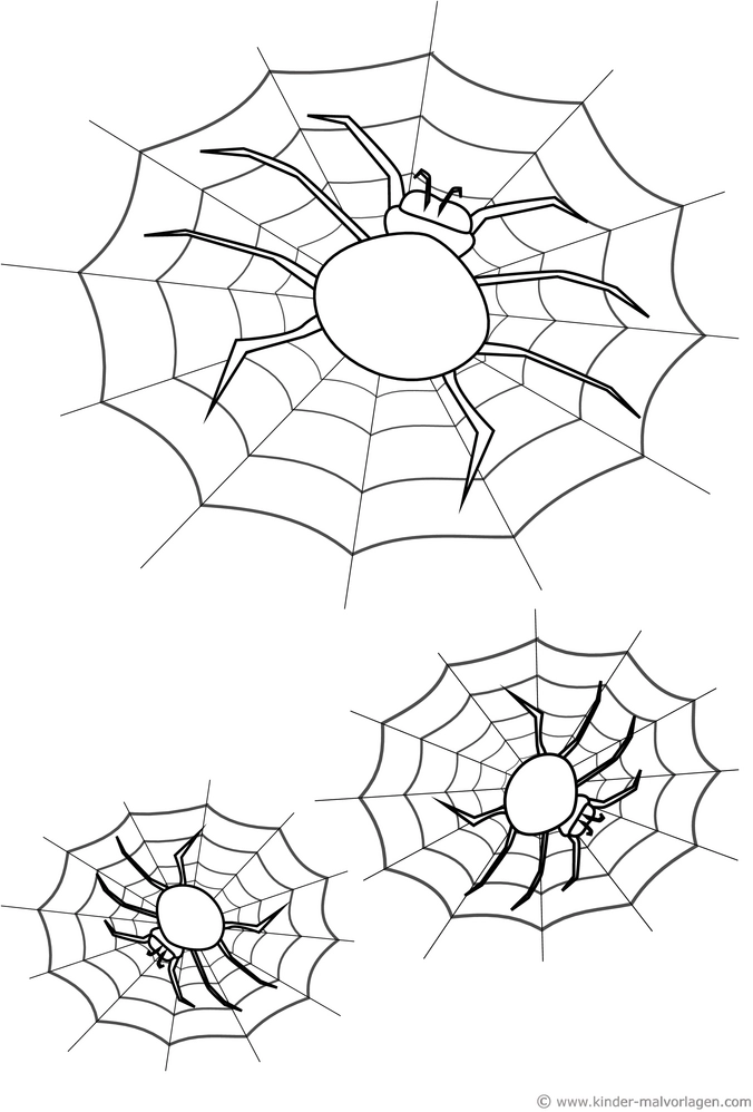 malvorlage-spinnen-in-spinnennetzen