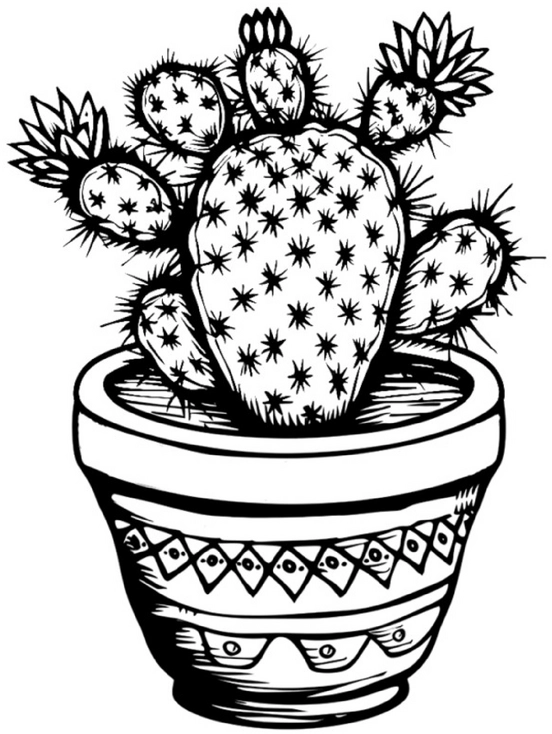 malvorlage-stacheliger-kaktus-dekorativer-topf