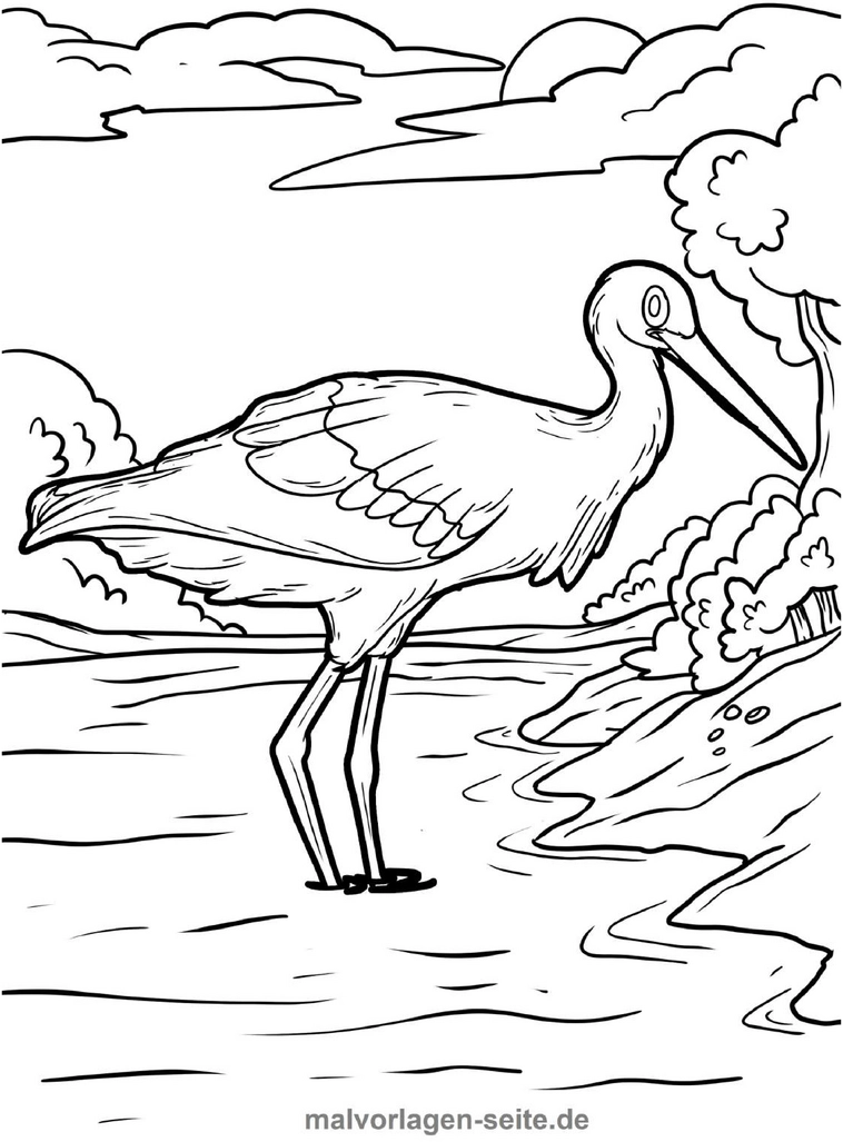 malvorlage-storch-am-ufer