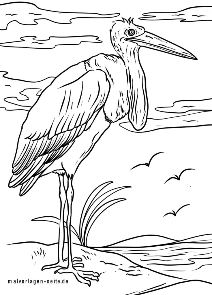 malvorlage-storch-in-natur-landschaft