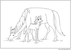 malvorlage-stute-mit-fohlen-ausmalen