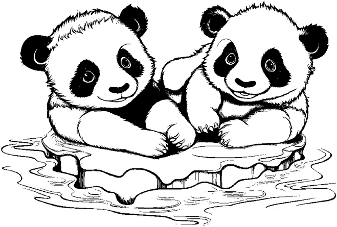 malvorlage-suesse-pandas-auf-eisblock