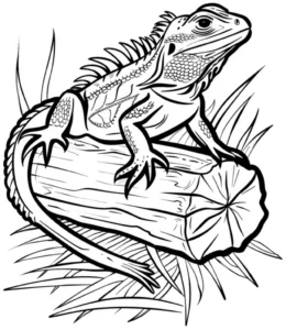 malvorlage-tapfere-eidechse-auf-baumstamm