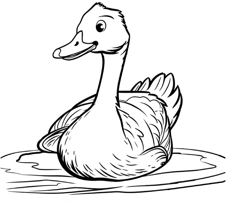 malvorlage-teichgans-auf-ruhigem-wasser