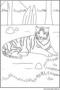 malvorlage-tiger-in-natuerlicher-umgebung