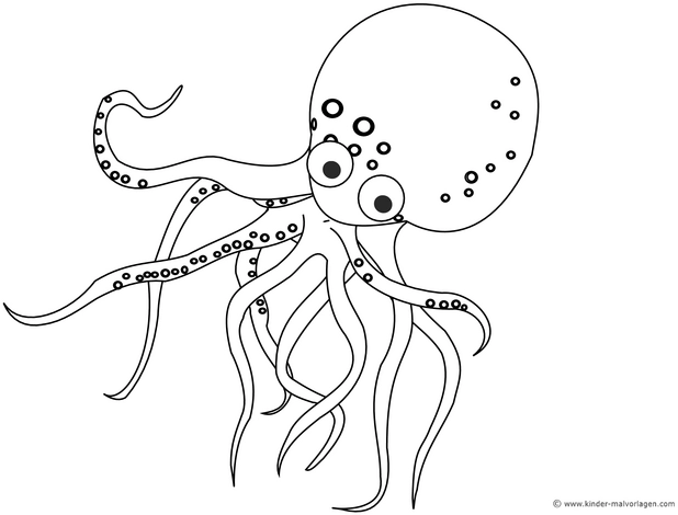 malvorlage-tintenfisch-ausmalen