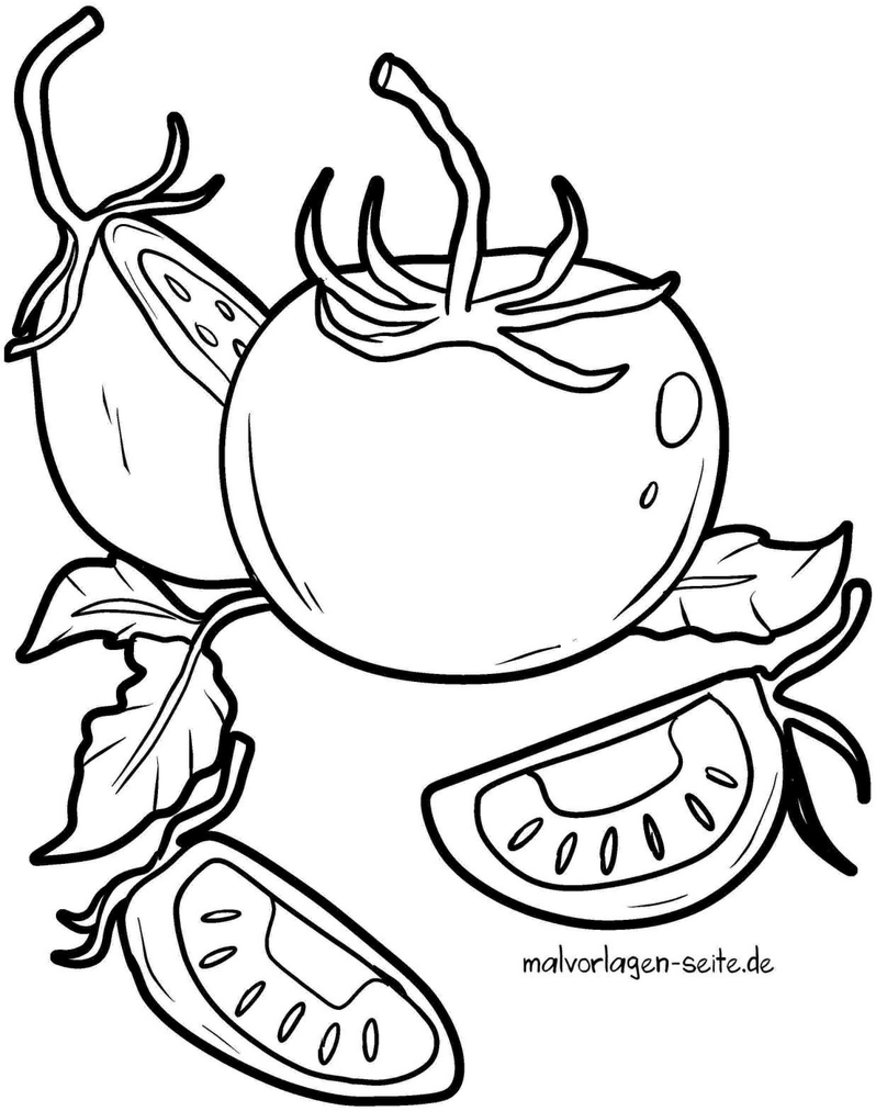 malvorlage-tomaten-fruechte-ausmalen