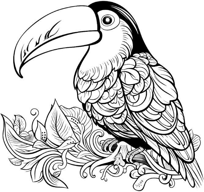 malvorlage-tukan-in-flora