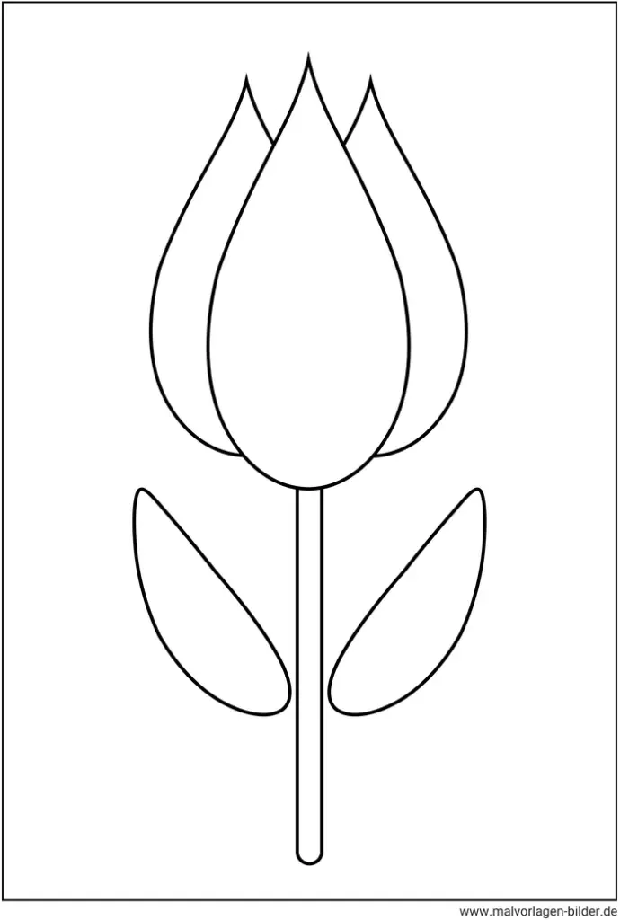 malvorlage-tulpe-ausmalbild