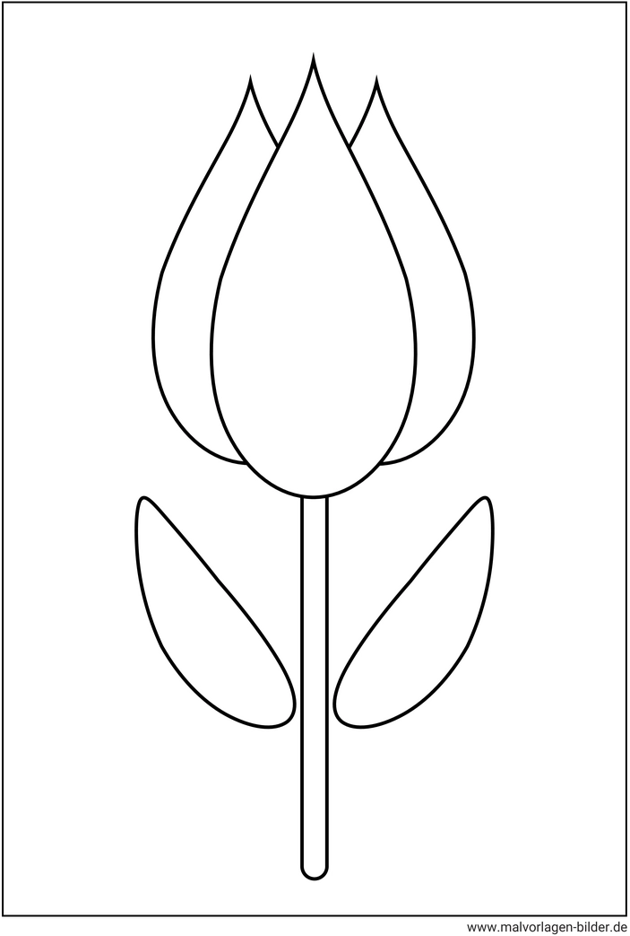 malvorlage-tulpe-ausmalbild