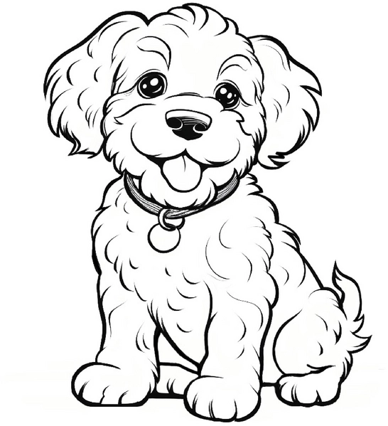 malvorlage-verspielter-lagotto-welpe