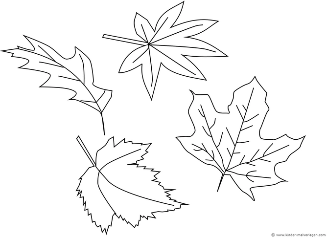 malvorlage-vier-laubblaetter-zum-ausmalen