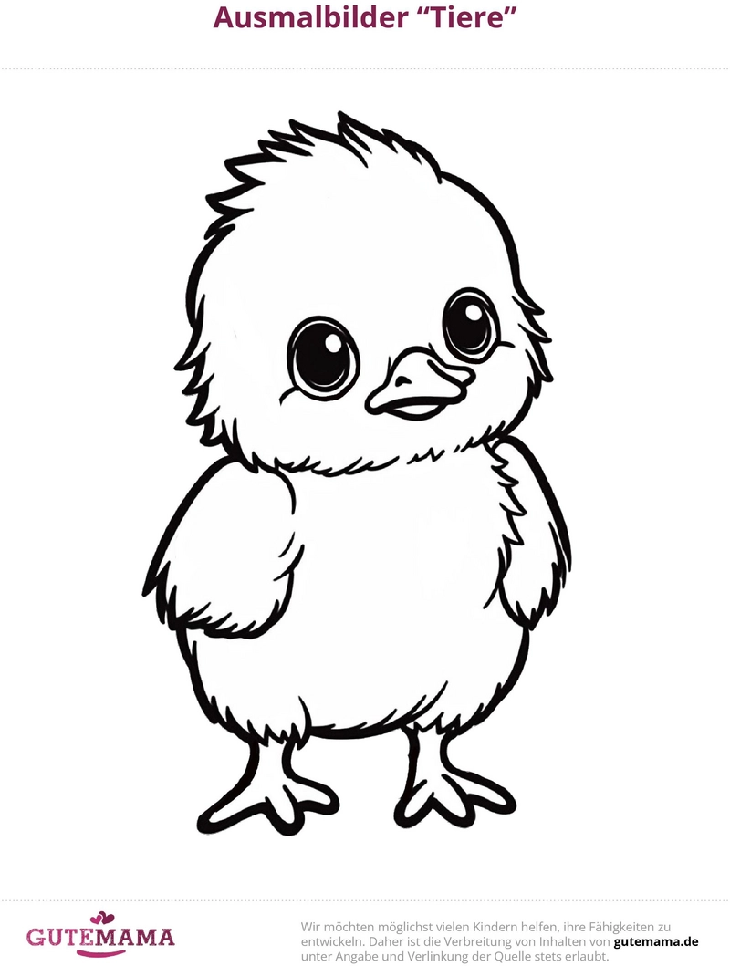 malvorlage-voegelchen-ausmalen-fuer-kinder