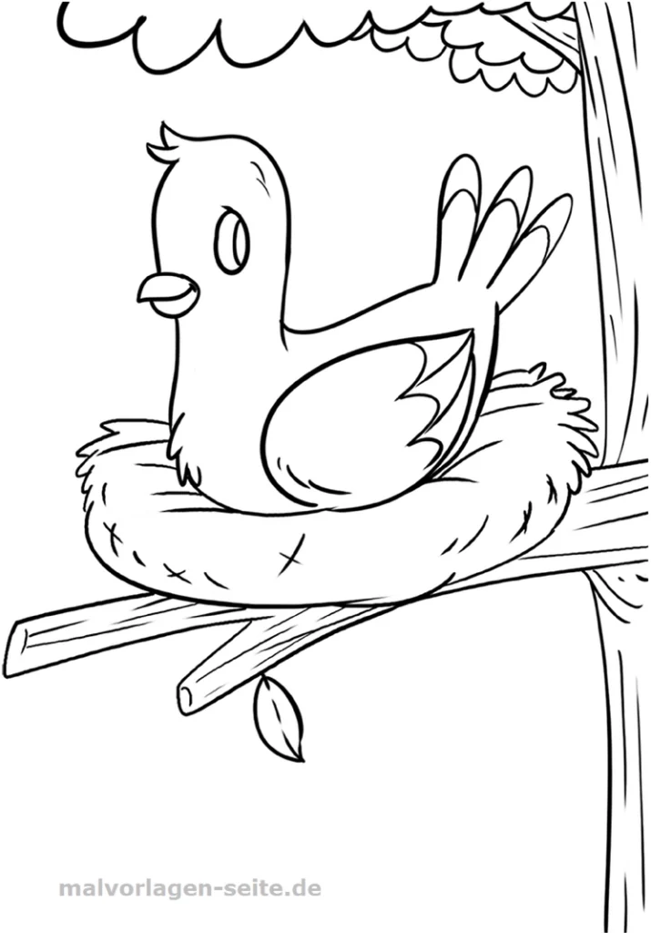 malvorlage-vogel-im-nest-auf-einem-baum