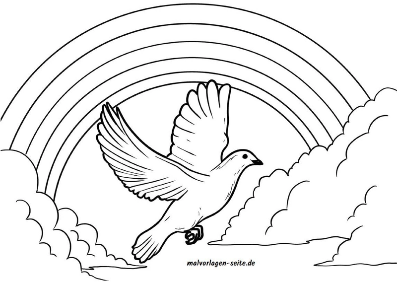 malvorlage-vogel-im-regenbogen-und-wolken