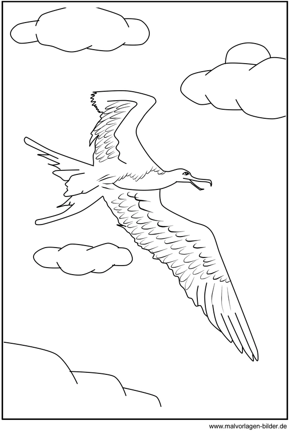 malvorlage-vogel-in-der-luft