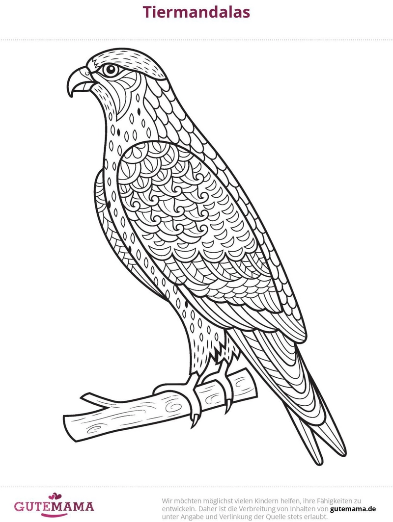 malvorlage-vogel-mandala-mit-detaillierten-federn