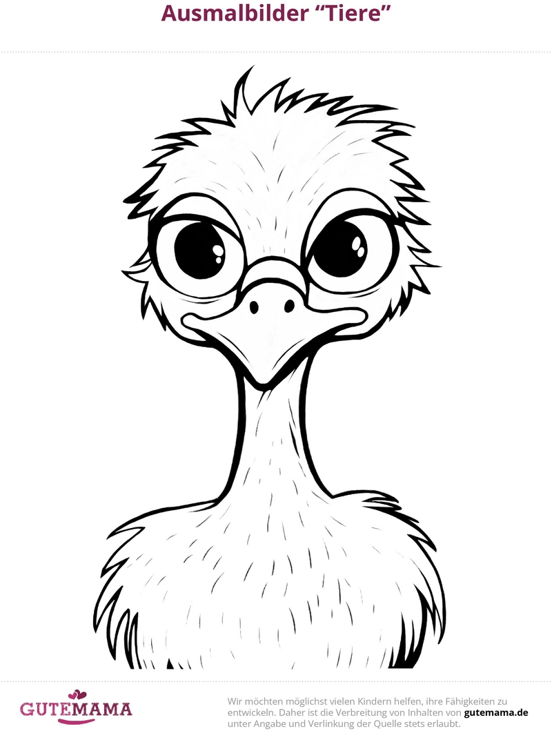 malvorlage-vogel-mit-brille-zum-ausmalen