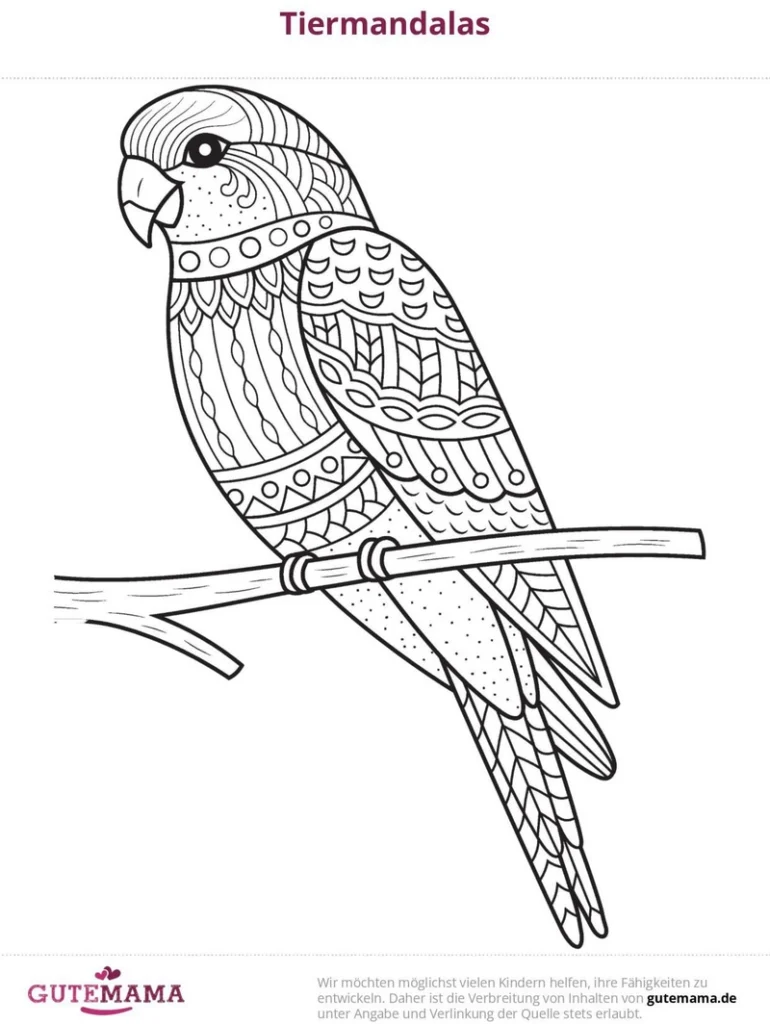 malvorlage-vogel-mit-mandala-mustern