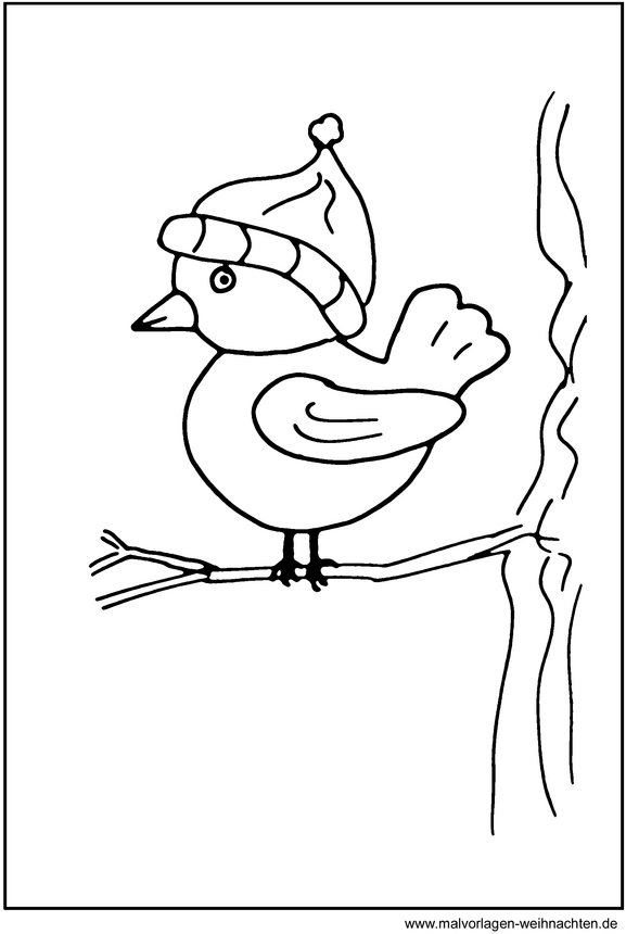 malvorlage-vogel-mit-weihnachtsmuetze-auf-ast
