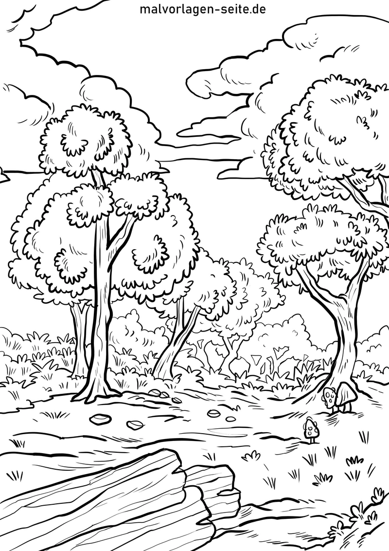 malvorlage-waldlandschaft-mit-baeumen-und-waldbewohnern