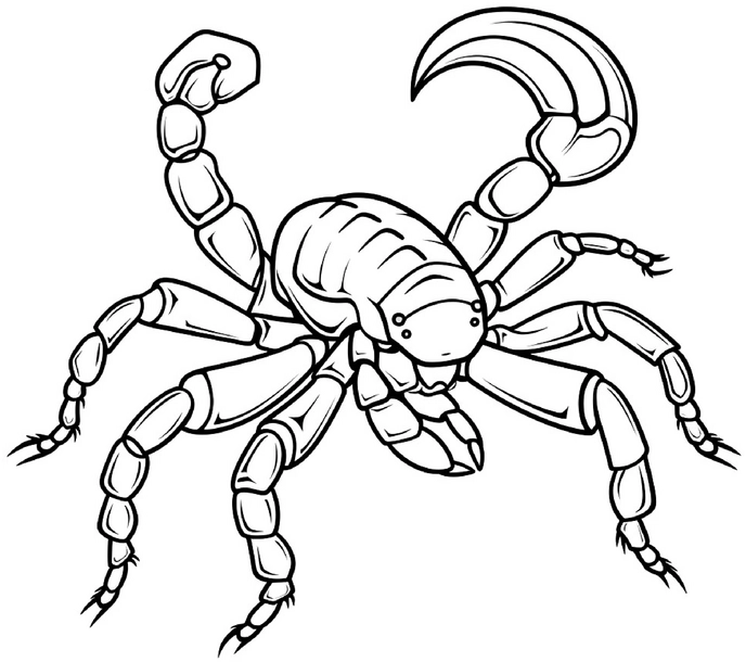 malvorlage-waldskorpion-ausmalen