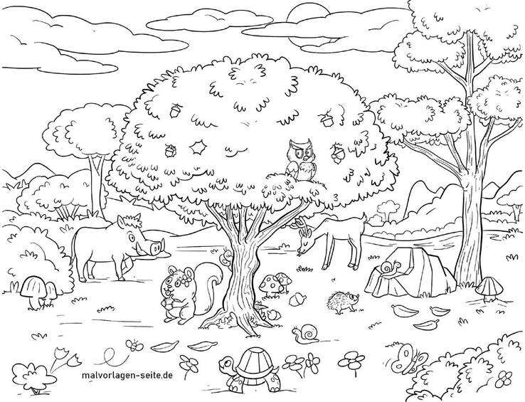 malvorlage-waldtiere-bunt-ausmalen