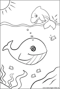 malvorlage-wale-und-delfine-ausmalbild