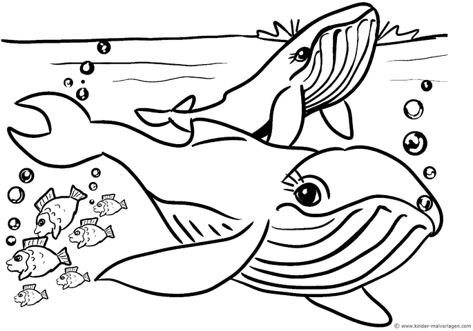 malvorlage-wale-und-fische-im-wasser