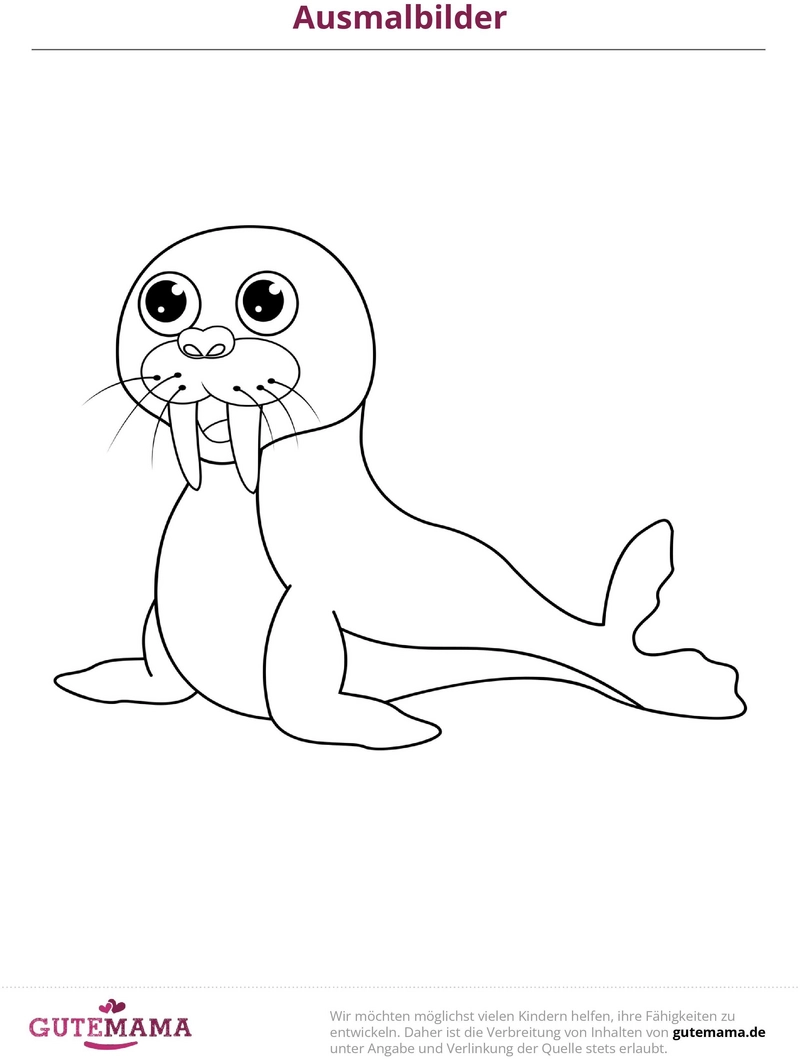 malvorlage-walross-ausmalbild-fuer-kinder