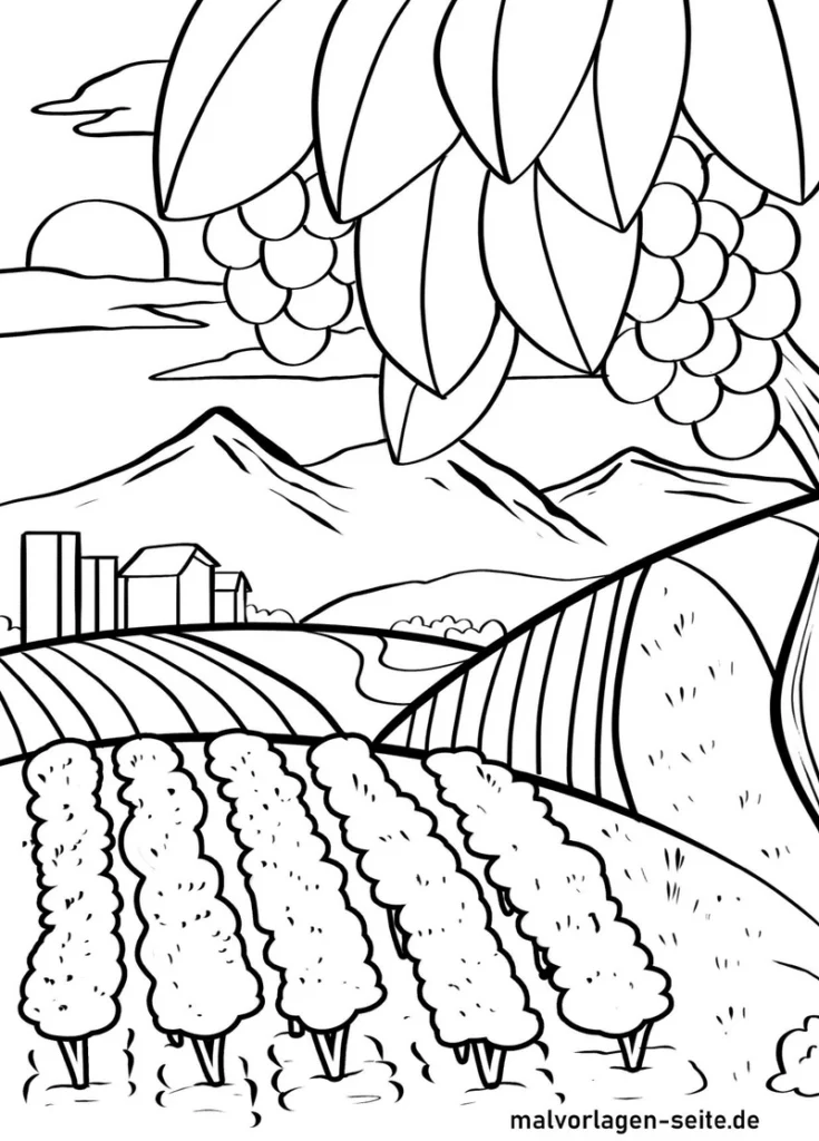malvorlage-weinberg-traeubchen-und-huegeln