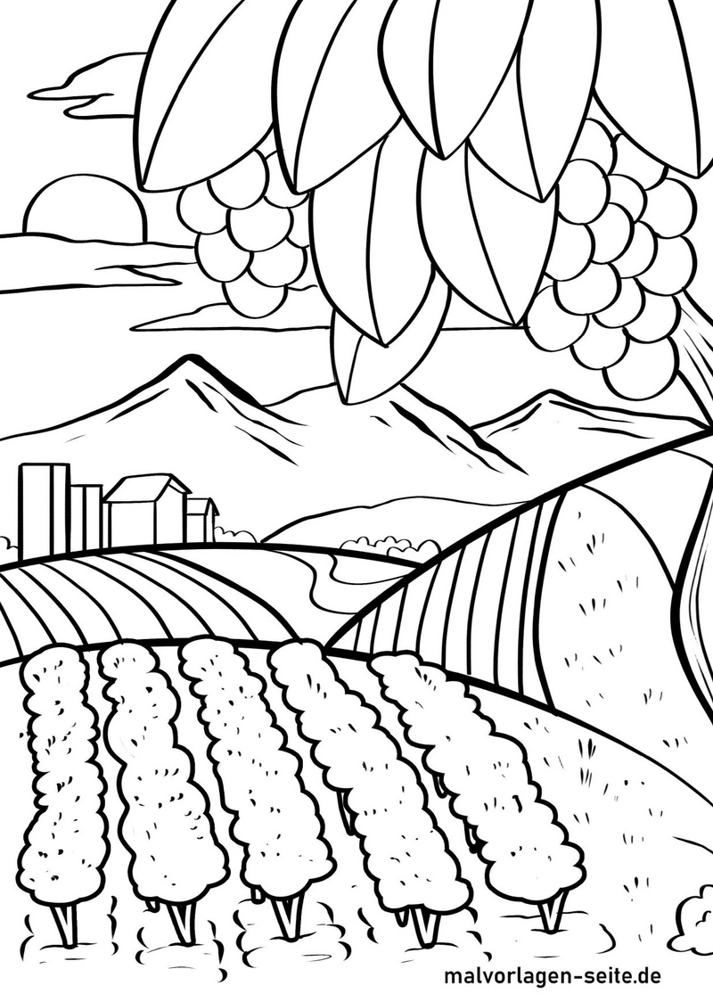 malvorlage-weinberg-traeubchen-und-huegeln