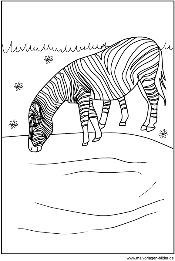 malvorlage-zebra-ausmalen-fuer-kinder